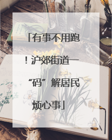 有事不用跑！沪郊街道一“码”解居民烦心事